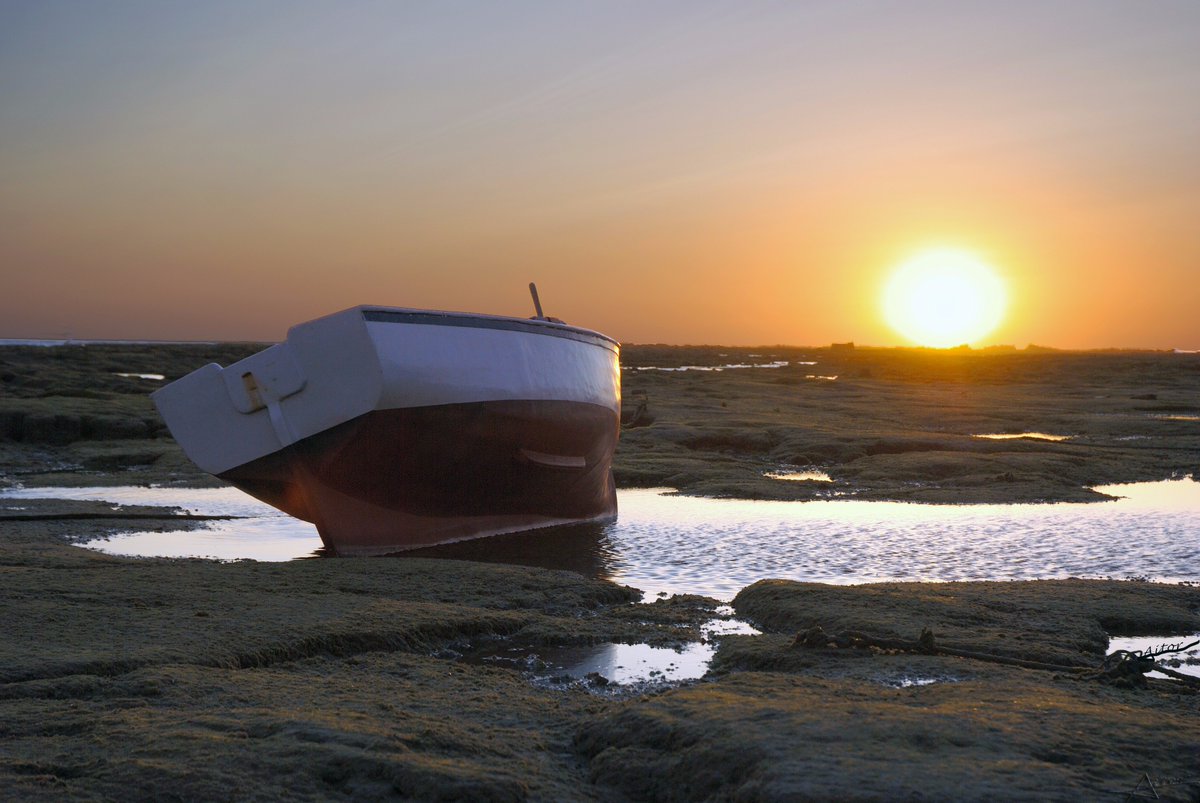 AitordeSeville's tweet photo. Time to sleep little ship (cadiz, feb 2011).
#streetphotography #goodnight #sunset #beautiful #picoftheday #photooftheday #lovely https://t.co/3lZFsNFYYq