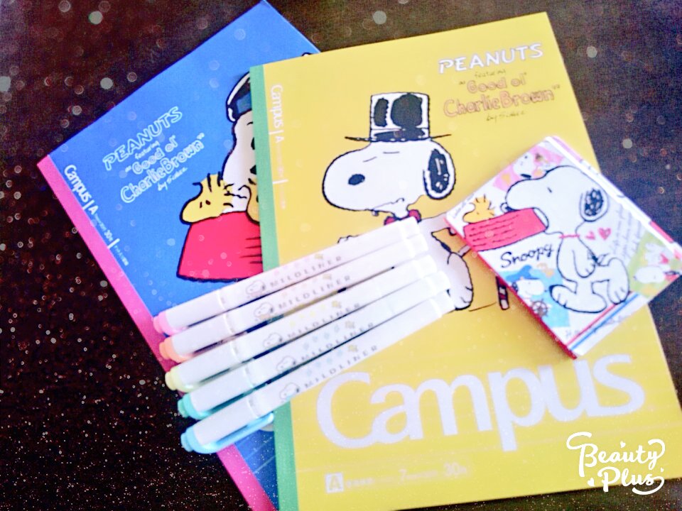 ひめ 勉強垢 Himehime Hula Twitter