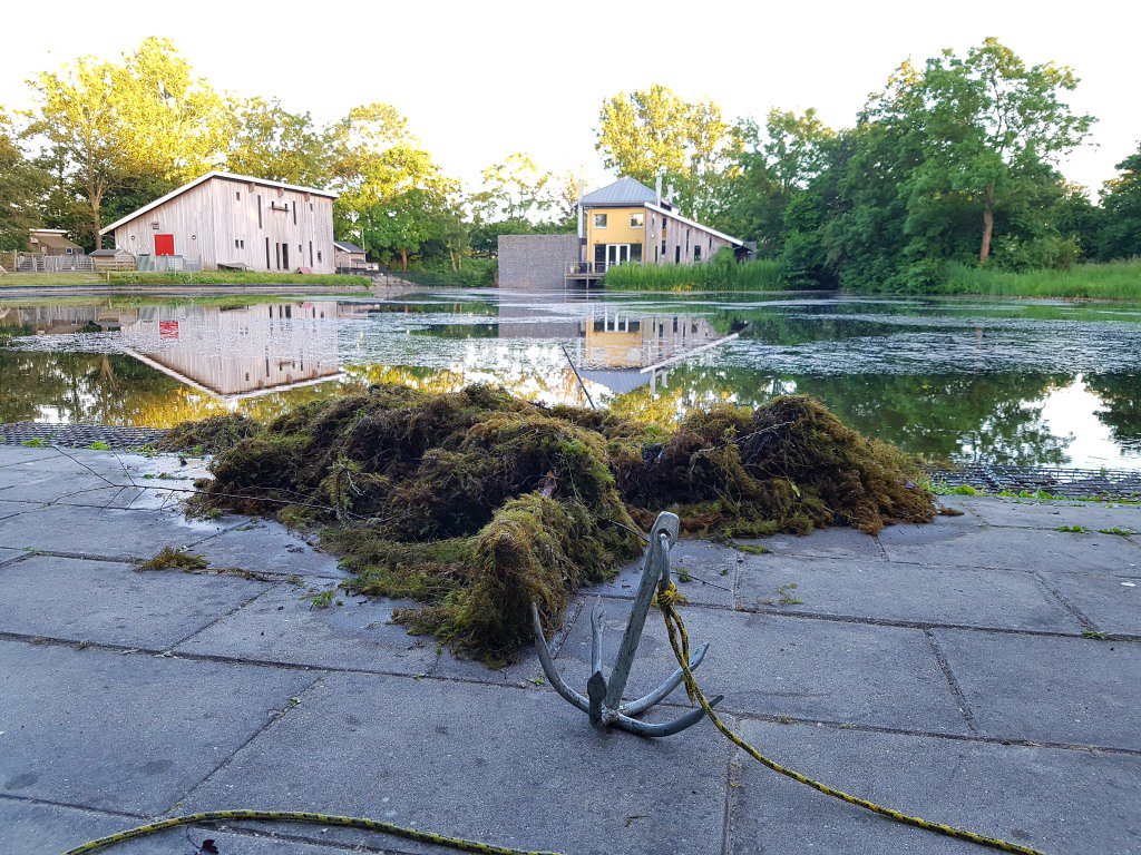 Mooi visweer... schagen24.nl/nieuws/nieuws/… #Schagen #Viswedstrijd #SkagerAC #DeBaars