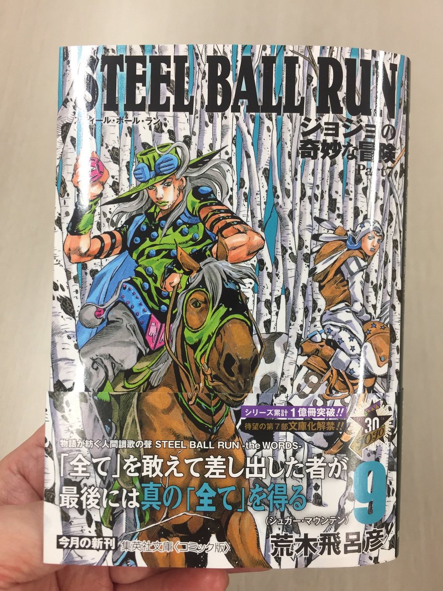 集英社コミック文庫 בטוויטר コミック文庫 Sbr 最新9巻は来週18日発売 見本誌が届きましたのでご紹介します 外は暑さが続きますが カバーの２人は物語の流れも含め雪景色 お馴染みとなってきたカバー加工がこの絵のどこに施されているか 発売日にぜひ店頭で