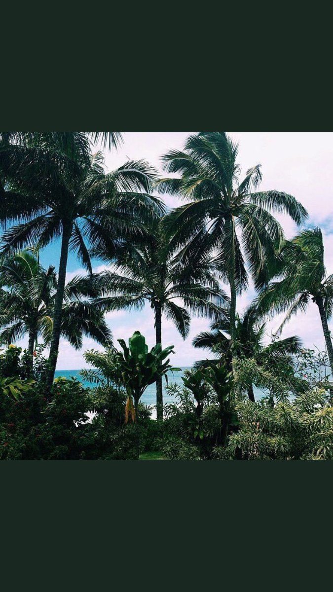 mariahquintero4's tweet photo. Catch a vibe✨💯 https://t.co/al2TWeU4lu