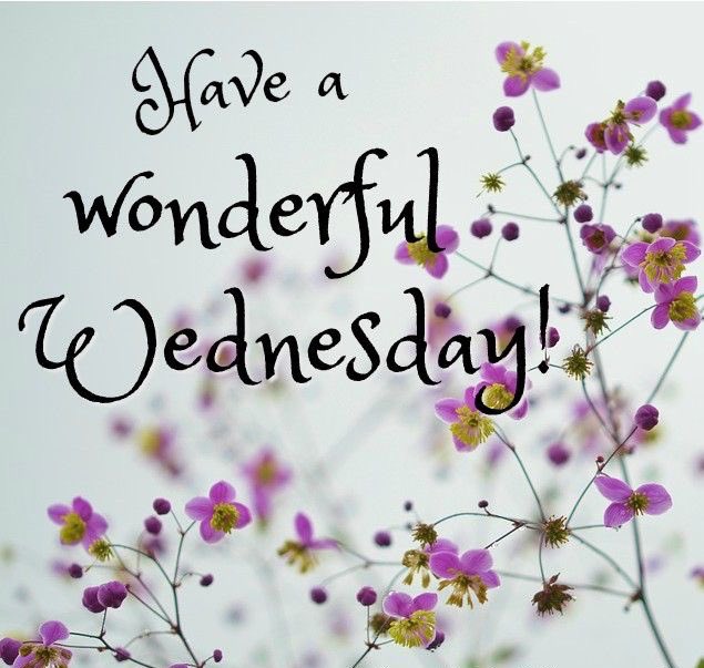 It's going to be a wonderful Wednesday. #wednesday #staypositive #begr...