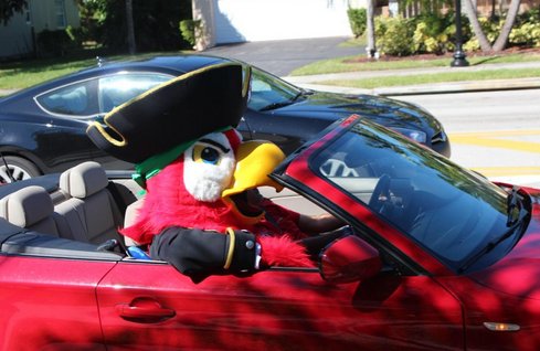 avantgarb's tweet photo. Here's a cool bird @barryubucky He's cruising in a convertible in Miami. What could be better than that? #mascotmakers #mascotstyle https://t.co/LguA7yS7c7
