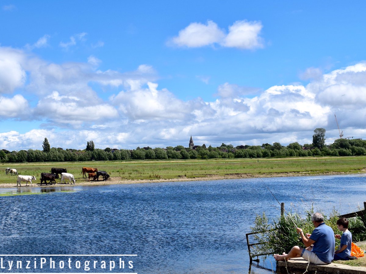 LynziPhotograph's tweet photo. #portmeadow #oxford #photography #river #thames #dslrphotography #highdefinition #summer #fishing #coarsefishing #angler #angling #cows https://t.co/OQ1BuPdP1O