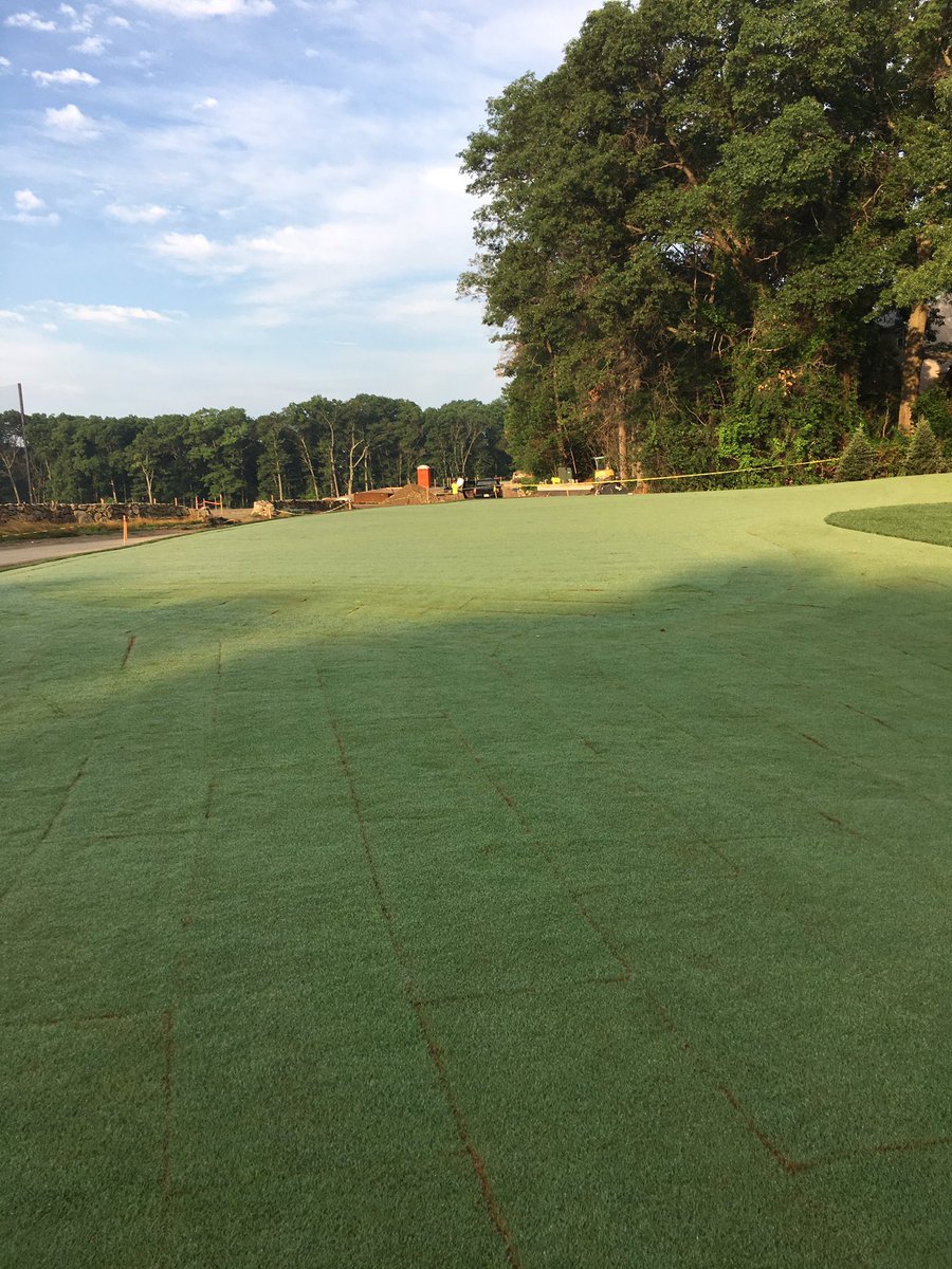 KOHR golf academy in Natick showing serious signs of life 12 DAS. <a href="/masgolfconst/">Matthew Staffieri</a>