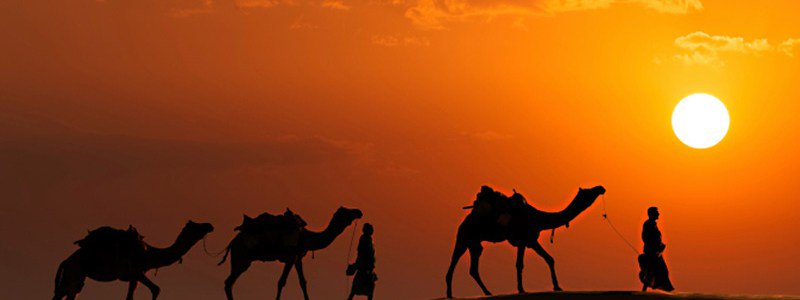 HolidaysNice's tweet photo. Best Places to Visit in Rajasthan in Winter https://t.co/cOrZ8VfWcf https://t.co/UKiZF0qhoh