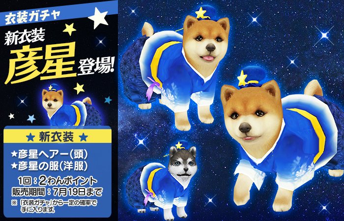 tenowan's tweet photo. 新登場の衣装は「彦星」と「織姫」ぶる！ちょっと遅れちゃったけど、1年に1回出会える二人を記念するぶるよ！ https://t.co/bqyMxTjf7H https://t.co/J0elGlpT31 #てのワン #犬 https://t.co/V5eQM9FUDK