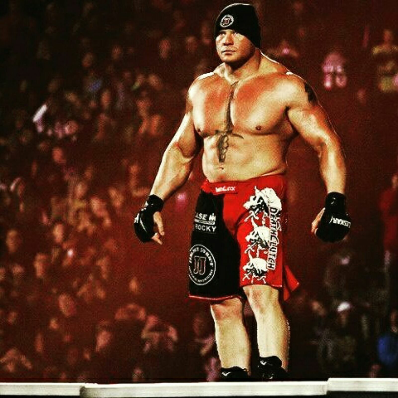 HAPPY BIRTHDAY TO THE BEAST BROCK LESNAR 