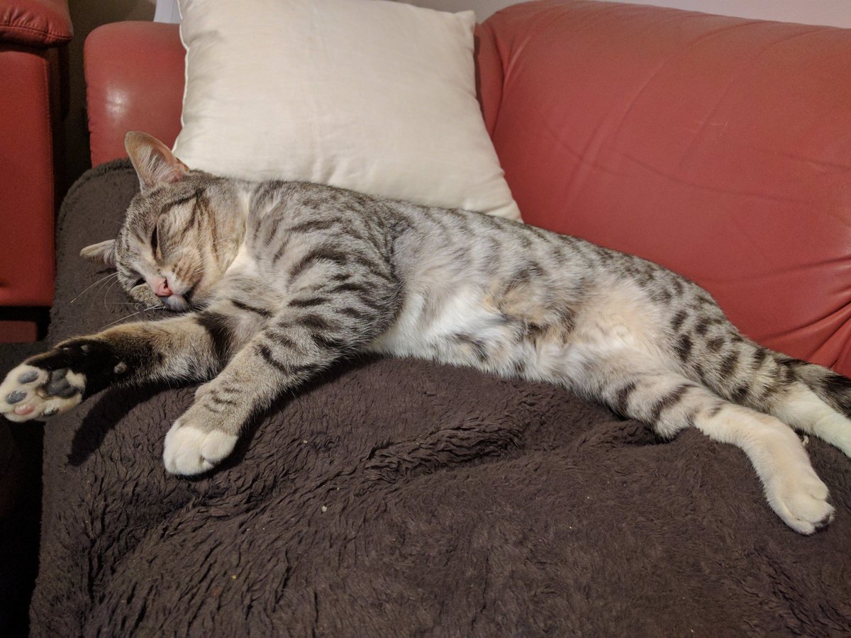 Dean Camera tweet media