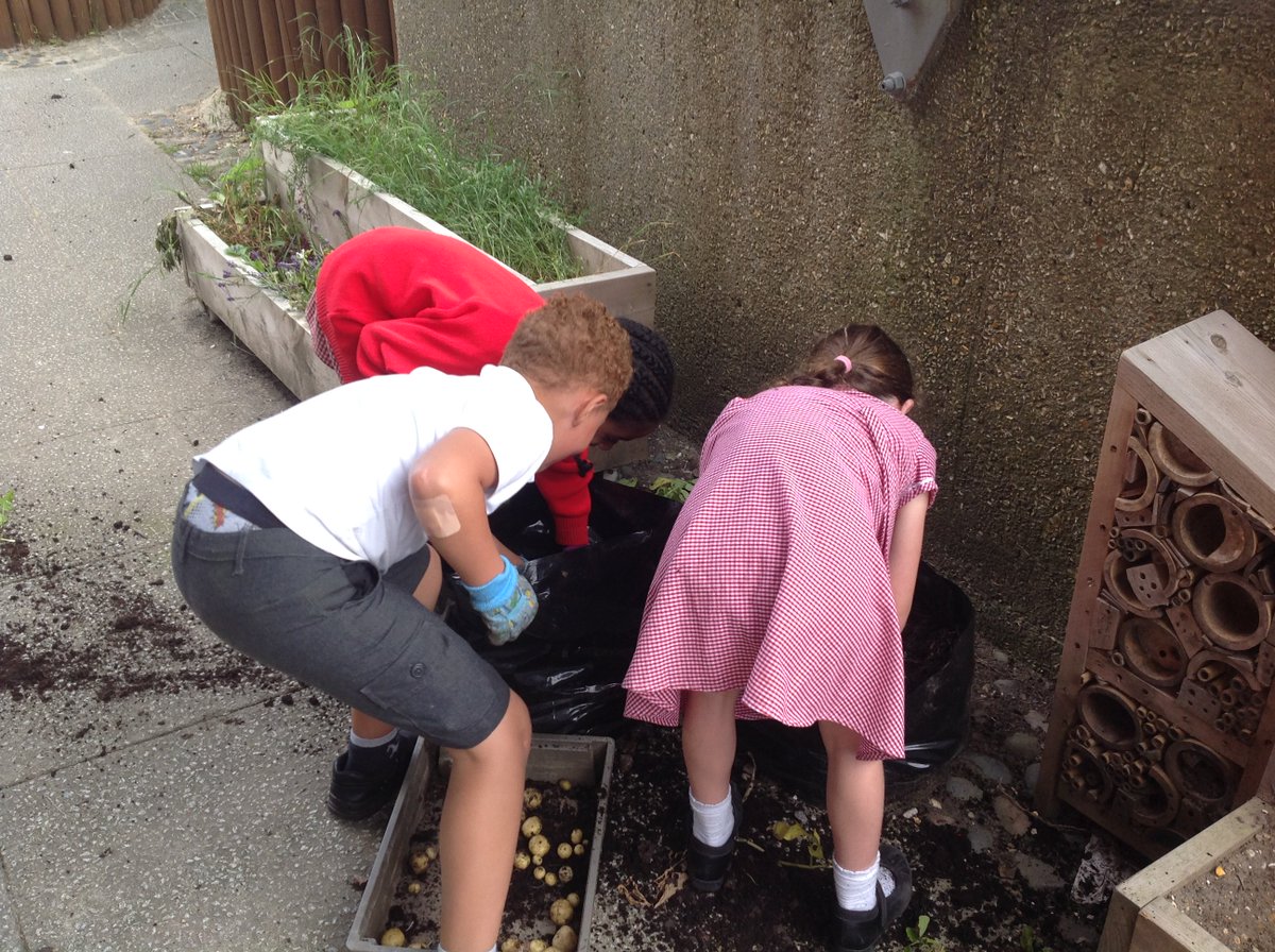 Pokesdown School tweet media