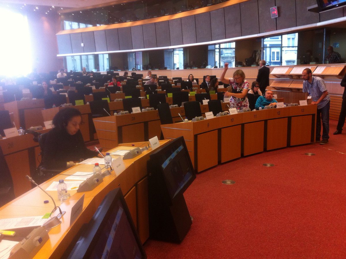 MyEDF's tweet photo. .@MyEDF @ENIL_EU @Nadia Hadad take part in the @Europarl_EN @EU_Social exchange of views on the European #DisabilityStrategy https://t.co/fEBewDhXa6