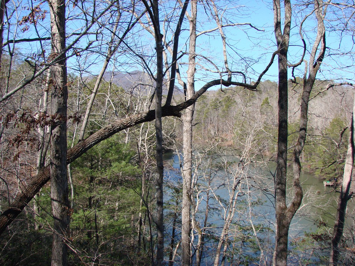 RiverbendLand's tweet photo. Call today to find out more about lot 35b on Rainbow Circle. .501acres of mountain views in the Riverbend comm... https://t.co/cFREkJTbL6