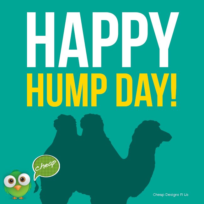 cheapdesignsrus's tweet photo. Happy #HumpDay https://t.co/wZC6B7rmwf