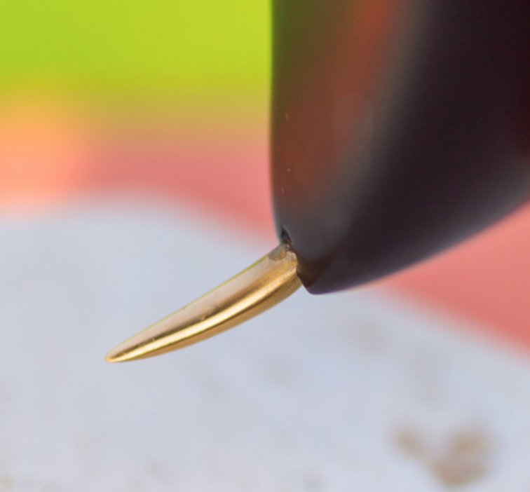 Richie Scott tweet media