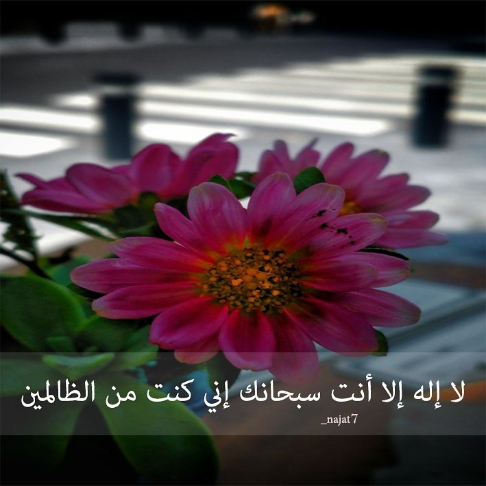 Najat (@najat751) on Twitter photo 
