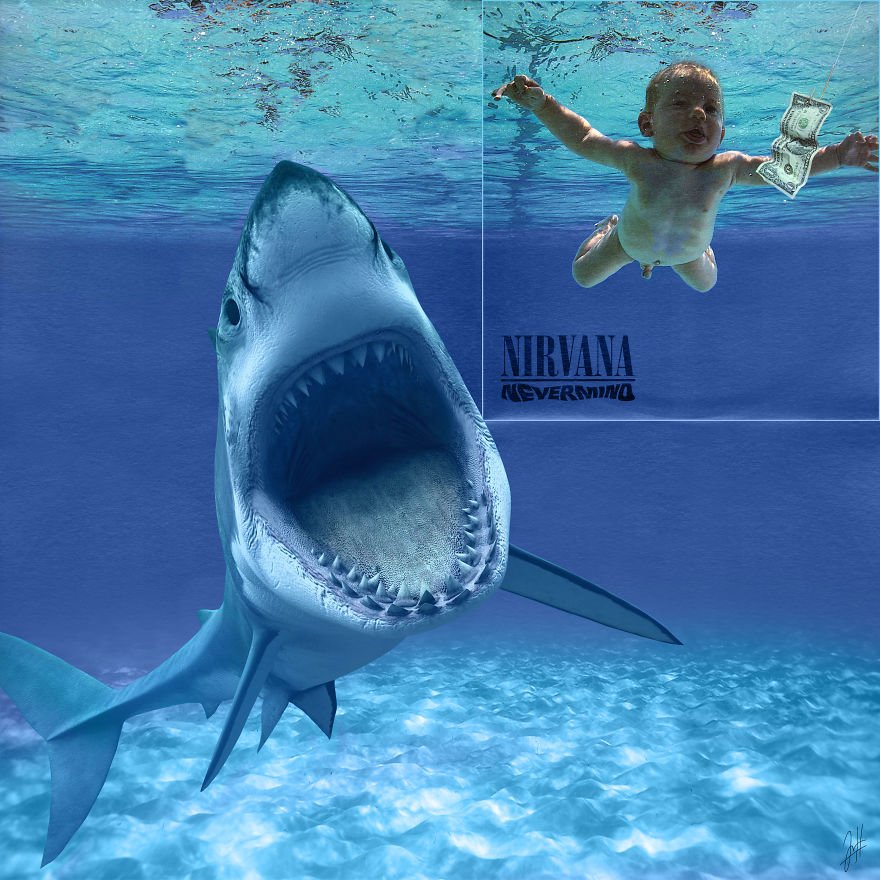 28 foot deep blue shark 28 foot deep blue shark