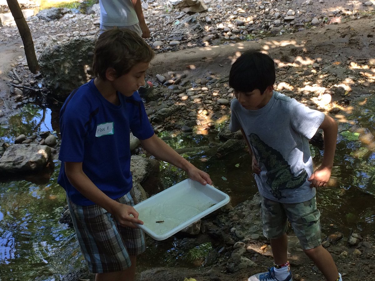 UMDBugCamp's tweet photo. Searching for aquatic insects on the first day of Bug Camp! #BugCamp https://t.co/HCriYpNqhl