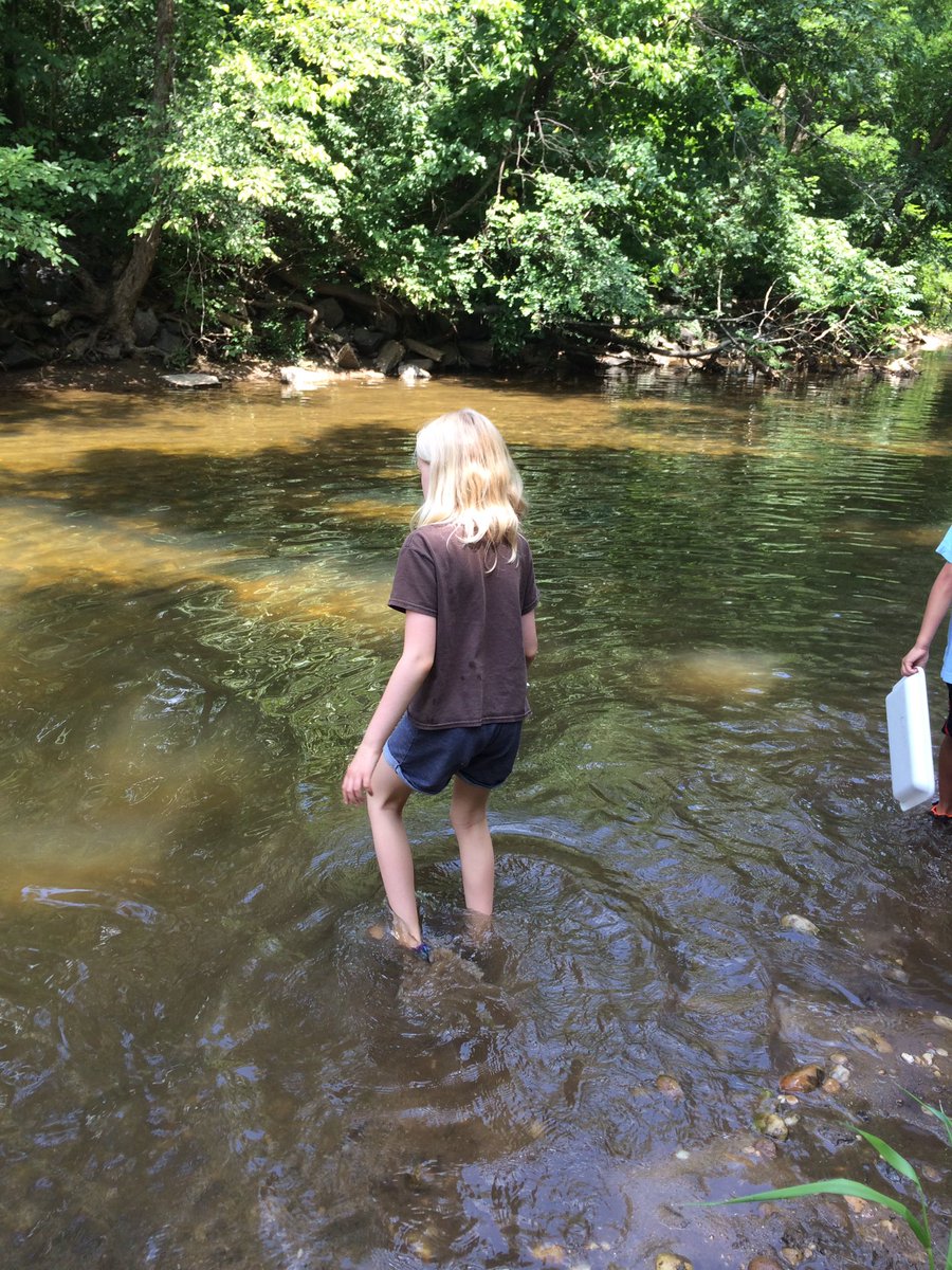 UMDBugCamp's tweet photo. Searching for aquatic insects on the first day of Bug Camp! #BugCamp https://t.co/HCriYpNqhl