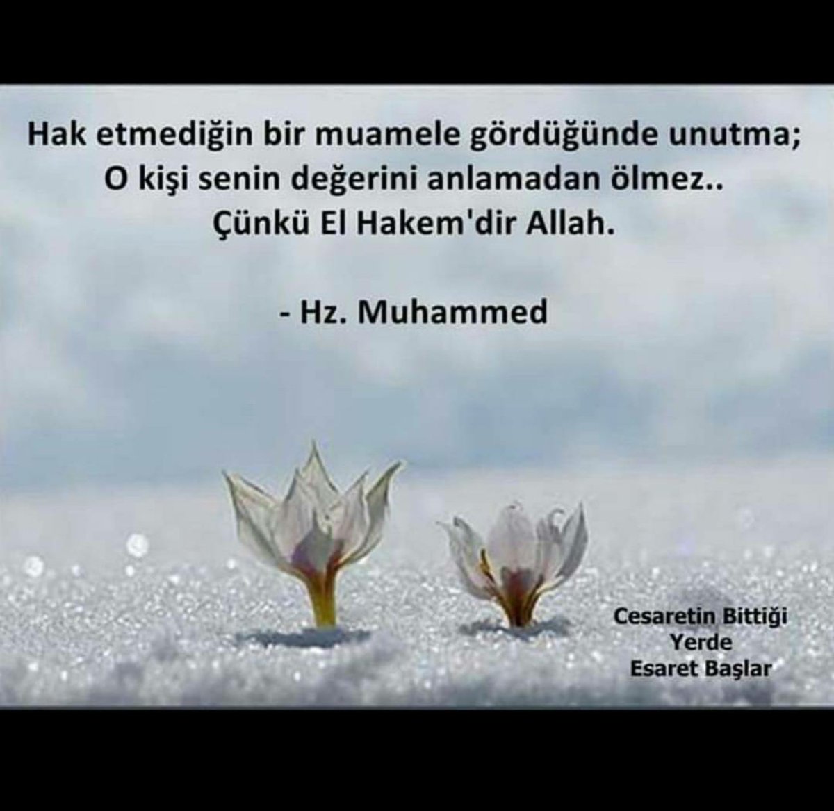 Hak edilen kazanılan bir şey, haksız olarak kazanılan çok şeyden üstündür. Hz.Muhammed