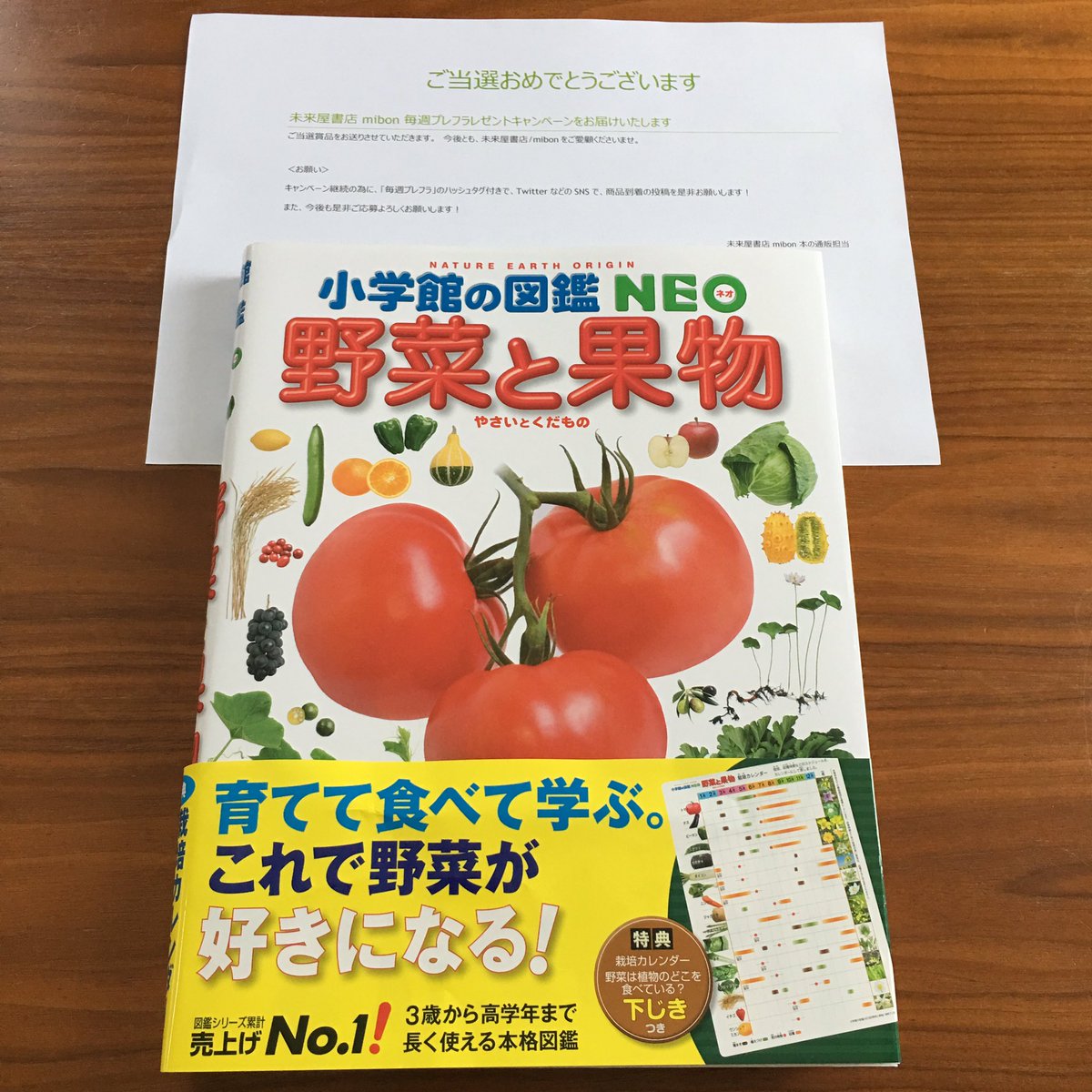 ワガママ姫子 Pa Twitter 未来屋書店mibon様 Miraiya Mibon のキャンペーンにて当選した図鑑 野菜と果物 が届きました こんな高額なもの中々買えないからすごく嬉しいです 最近野菜を食べれるようになってきた娘と一緒に読みたいと思います ありがとうご ワガママ姫子 Pa Twitter 未来屋書店mibon様 Miraiya Mibon のキャンペーンにて当選した図鑑 野菜と果物 が届きました こんな高額なもの中々買えないからすごく嬉しいです 最近野菜を食べれるようになってきた娘と一緒に読みたいと思います ありがとうご