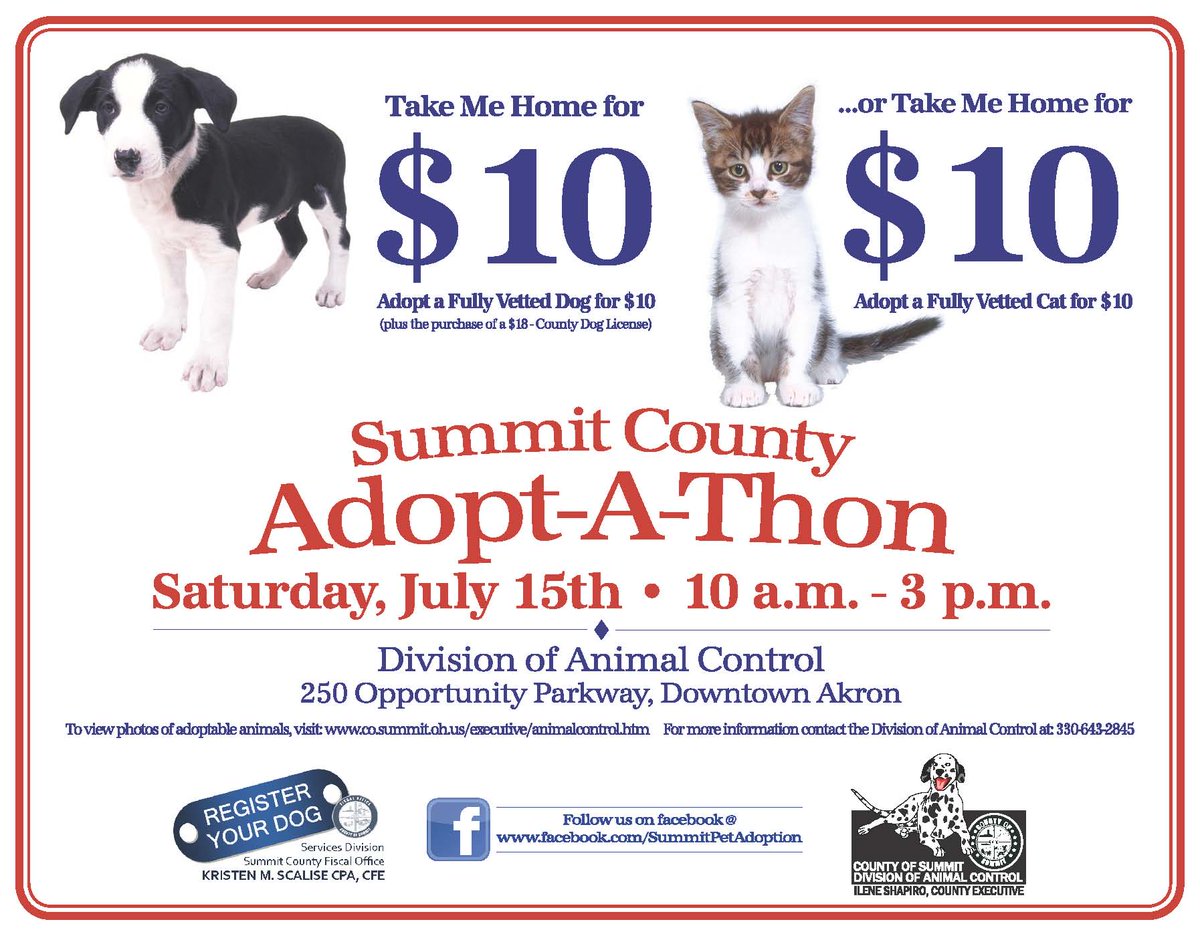 summitforkids's tweet image. You don't want to miss The Summit County Adopt-A-Thon! Adopt a fully vetted cat or dog for just $10! July 15th 10 a.m. - 3 p.m.