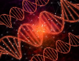 inside_dna's tweet photo. #Kallisto for #RNA-seq quantification on InsideDNA Platform #Bioinformatics https://t.co/priEEhtud0 #Genomics https://t.co/CXlrkOkQZQ