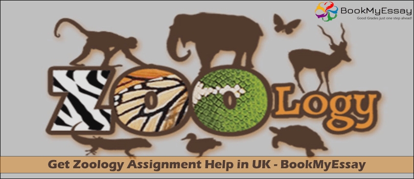 Book_My_Essay's tweet image. Simple way to get #ZoologyAssignmentHelp in #UK – #BookMyEssay- #AffordablePrice, #PlagiarismWork | goo.gl/FJrLDL