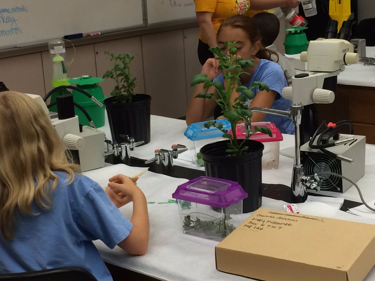 UMDBugCamp's tweet photo. Early morning bug bonding! #Day3 #BugCamp https://t.co/XYe78qgjz4