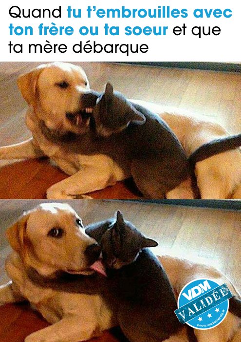 Vdm On Twitter Quand Ta Mère Débarque En Pleine Embrouille