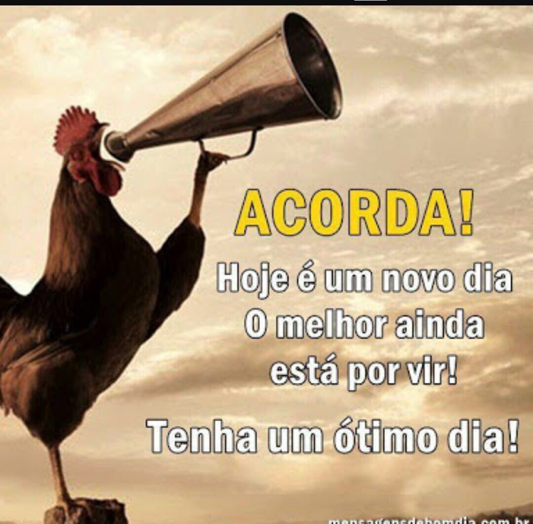 cecioliveira33's tweet image. #BetaQueLab