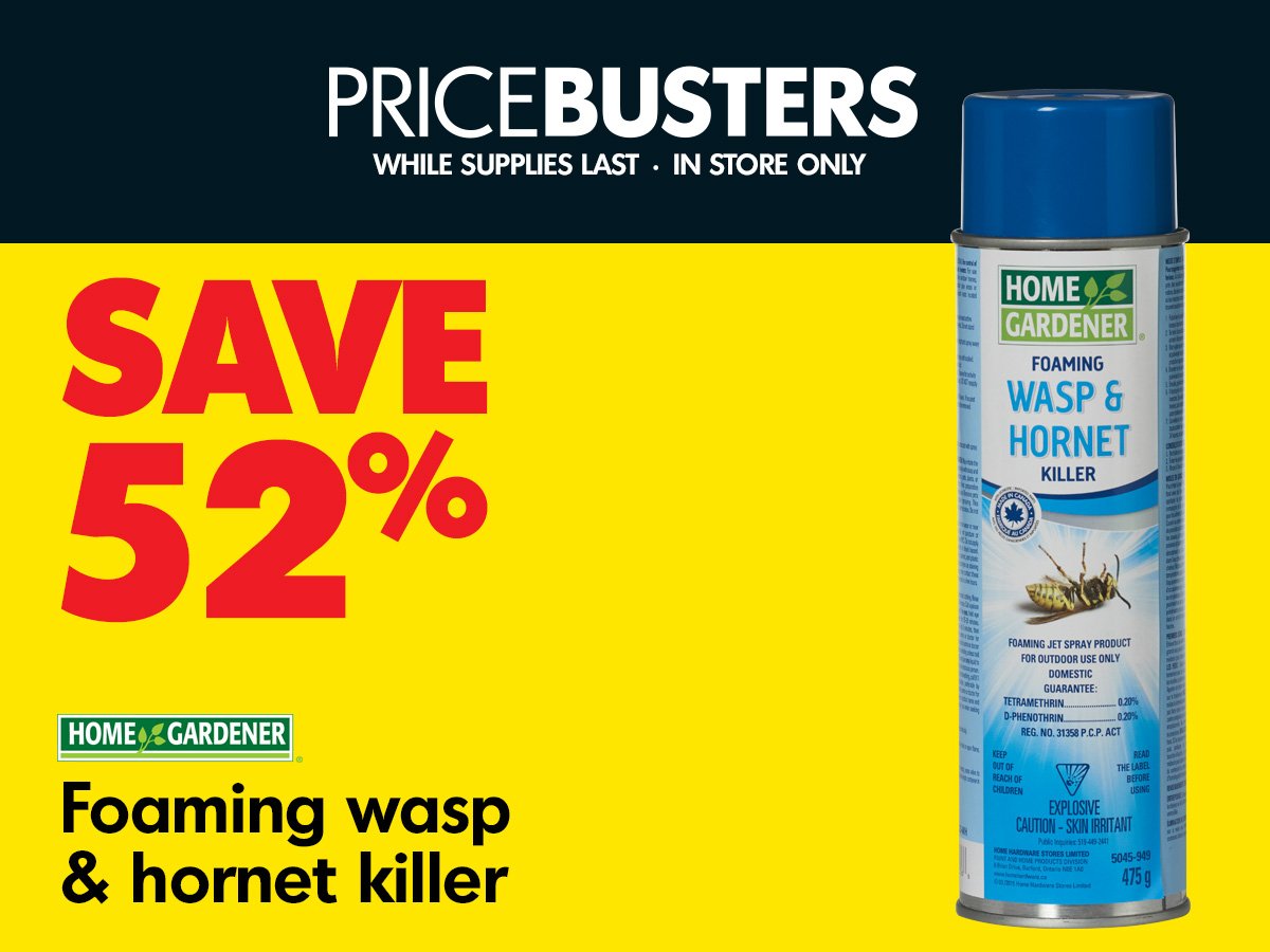 leamingtonHH's tweet photo. SAVE 52% - Foaming Wasp &amp; Hornet Killer - https://t.co/dvhaUMqXza - Now Only $3.77 https://t.co/xvTUsrCsLO