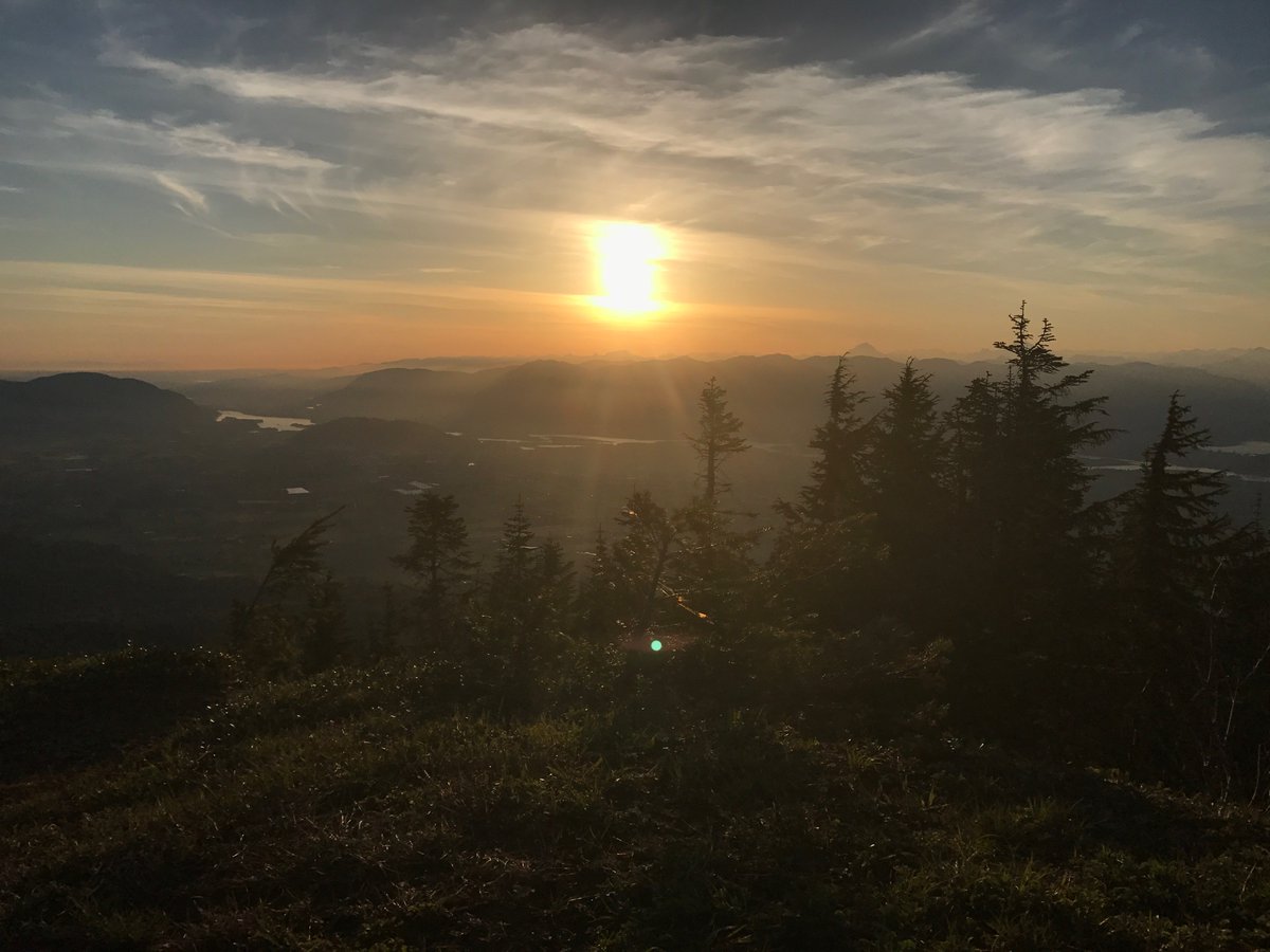 mtwaddingtons's tweet image. We have some awesome guided hike running this summer! mtwaddingtons.com