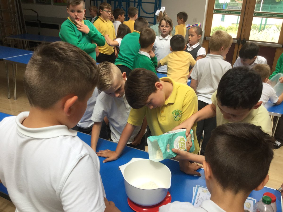 WillowGreenYear3 tweet media