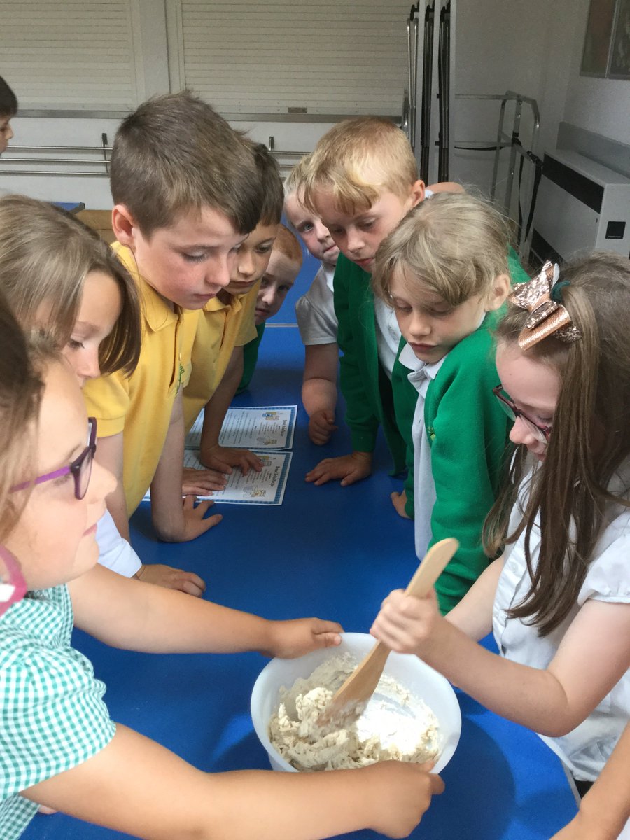WillowGreenYear3 tweet media