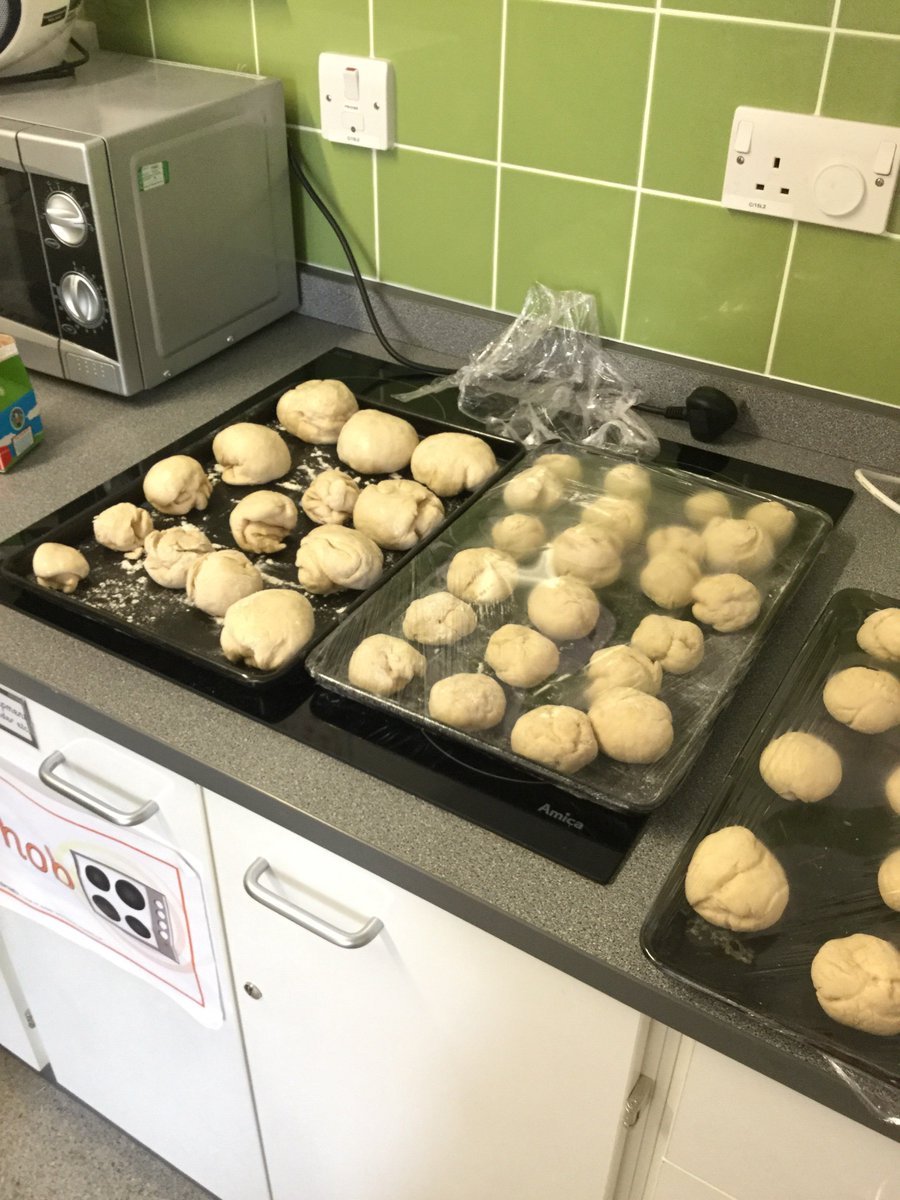 WillowGreenYear3 tweet media
