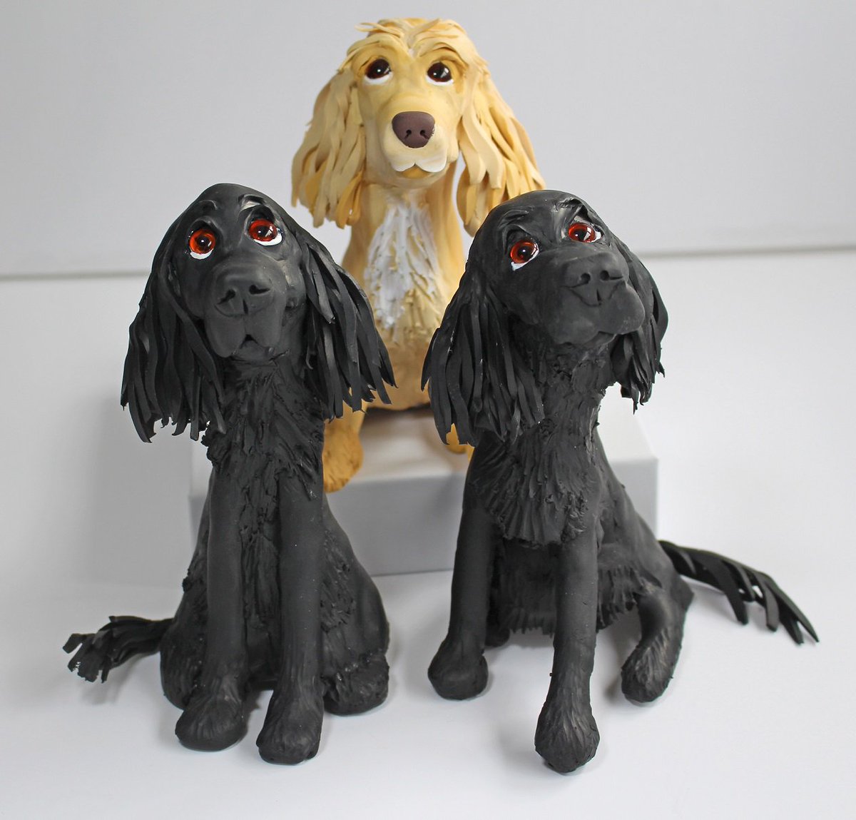 FoscottsFriends's tweet photo. #Happyfamily all sitting nicely for a treat. #spaniel #WoofWoofWednesday #thepetsbiz @yourdog @Pets_Mag #giftideas #bespokedogs https://t.co/p4Z4QdfWhB