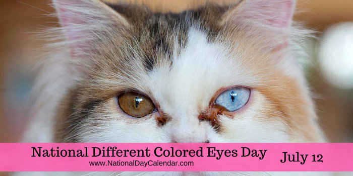 RandEyeVision's tweet image. National Different Colored Eyes Day! There are many people with two different colored eyes, and this is their day to celebrate!