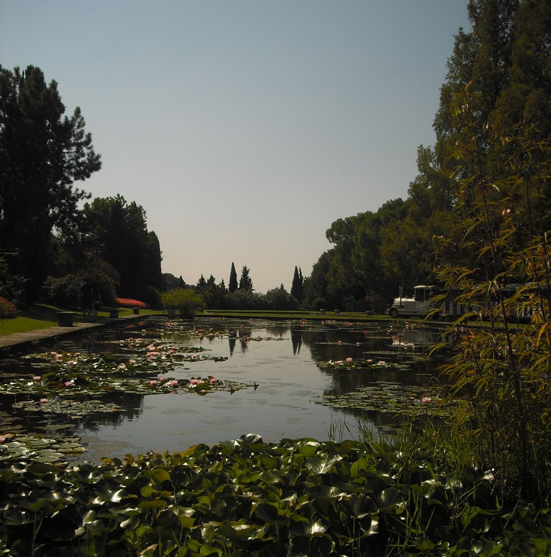 Parco di Sigurtà dove Madre Natura fà da Padrona decide gli abiti, le forme e i colori.. Scopriamolo assieme #Veneto bit.ly/2sPJl5B