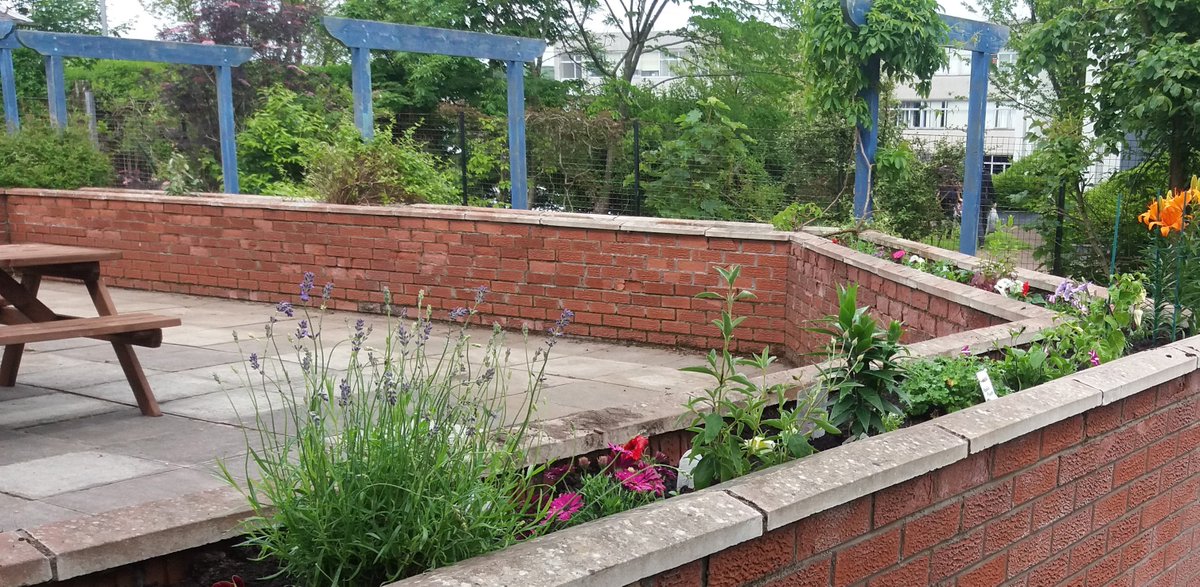 fifecollege's tweet photo. Great job by our @PrincesTrust students - college garden looking fab! Great work!
https://t.co/6fClEFV0cb #community #12weekcourse https://t.co/D2lFxbbQdB
