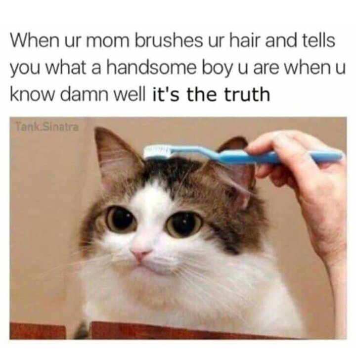 Mathgrind's tweet image. 