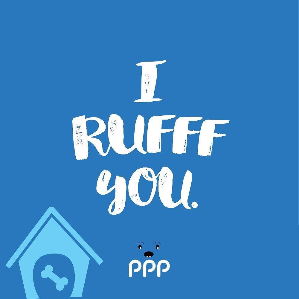 itspuffpuffpaws's tweet photo. Meow! Ruff! Baa! Moo! Roar! We love pets in ALL different shapes and sizes! Check out our affordable store online,… https://t.co/AtbPzC7rlq https://t.co/lnqX8S41d3
