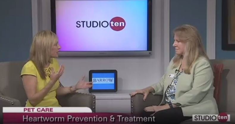 Ceva_USA's tweet photo. Dr. Nora Grant speaks with @ChasityByrd #GulfCoastLiving about how #DoubleDefense protocol can #FightHeartworm https://t.co/F6JuqIzioH https://t.co/tLHDliKm6e