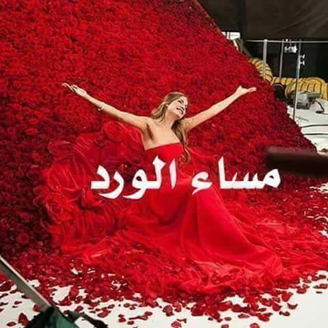 Hasanat__2014's tweet photo. مساء الورد https://t.co/QNMxeNV5x7