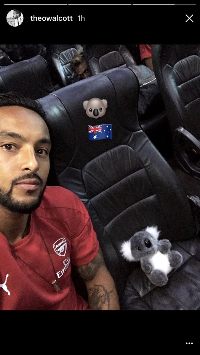 NatashaBowey's tweet photo. He's so cute 🙊 #Theoooo #TheArsenal https://t.co/i6wYFhtDiz