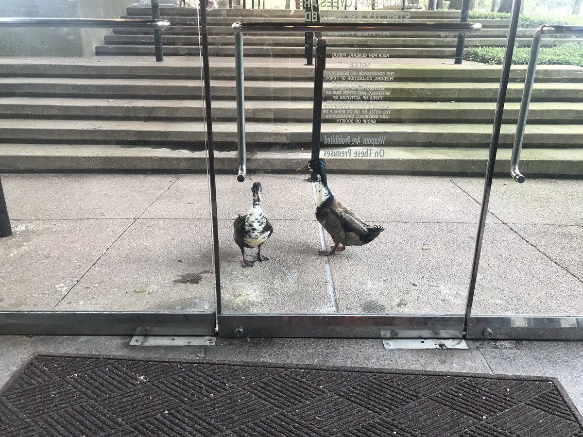 Evan O'Regan tweet media