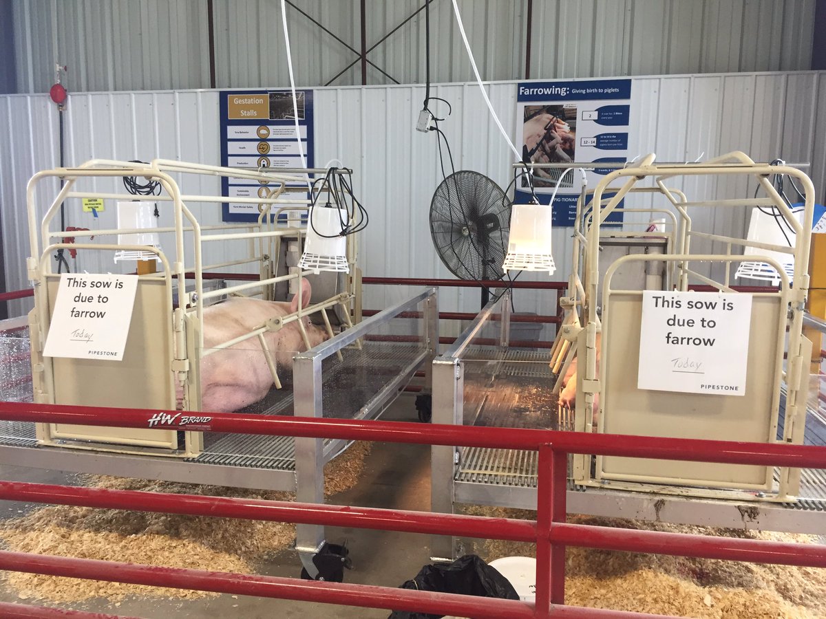 Welton Seed House (weltonseedhouse) Twitter