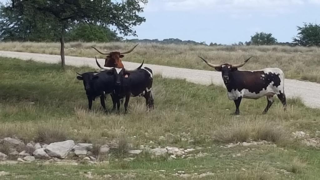 Delivery point Christoval texas. Hang it on the Horne and they carry it to the house.  JK