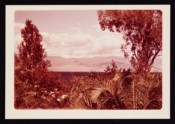 BioDivLibrary's tweet photo. 1950s color photos document work of Smithsonian-Bredin Belgian Congo Expedition https://t.co/GUEa6nJ7LE via @SmithsonianArch #SIFBP https://t.co/3TKdLlqz1G