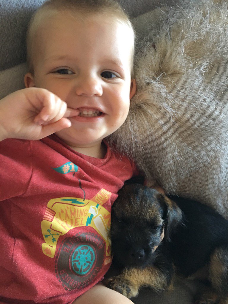 PoppyBorderT's tweet image. Someone is chuffed her Boy is home ❤️