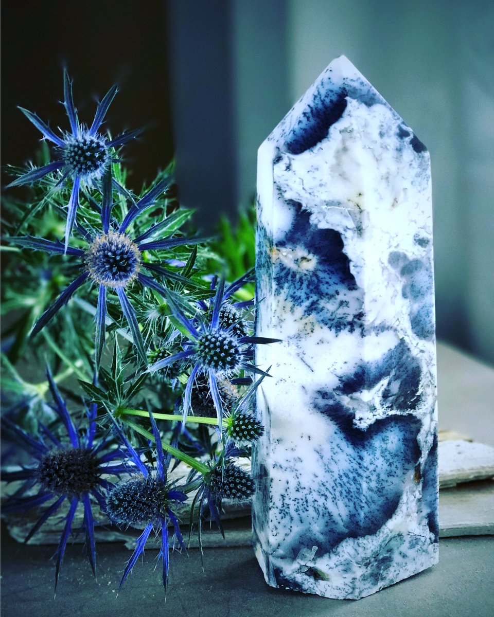 plainsofstone's tweet photo. An amazing new piece !!! #dendrite #dendriteagate #agate #dendriteopal #gems #gemstones #minerals @plainsofstone #plains of #stone https://t.co/WVwikRIQJX